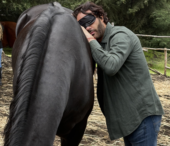 Horsecalm05